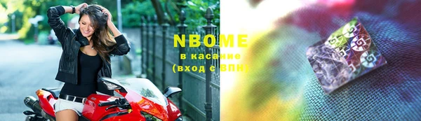 индика Алзамай