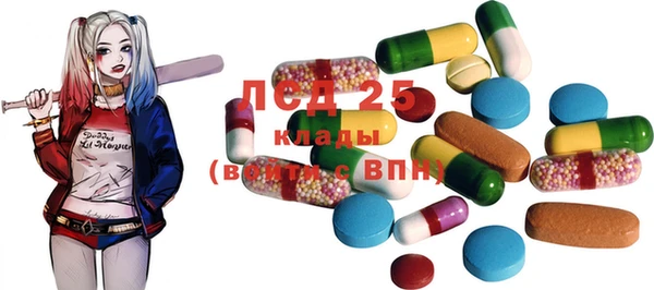 индика Алзамай