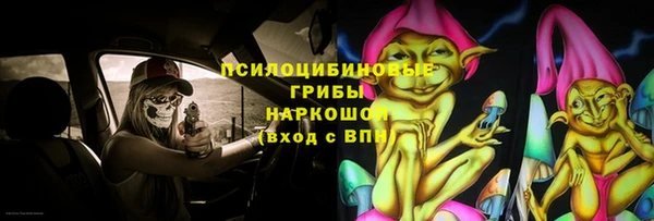 индика Алзамай