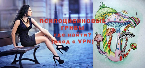 индика Алзамай