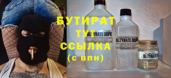 индика Алзамай