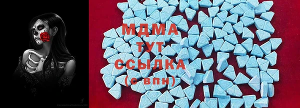 индика Алзамай