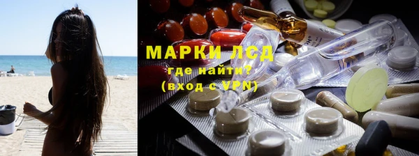 индика Алзамай
